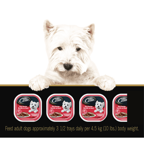 CESAR® Classic loaf in sauce Wet Dog Food, Beef Recipe, Turkey Recipe Variety Pack image 3