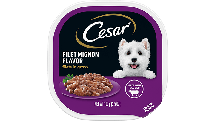 Cesar wet dog food