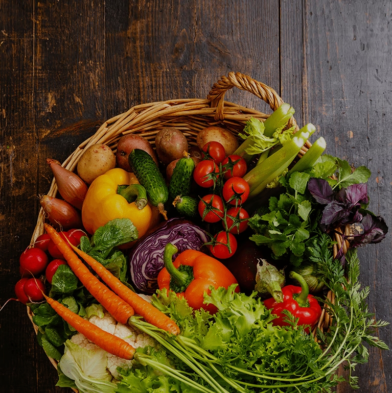 Our Ingredients® CESAR® dog Food & Treats