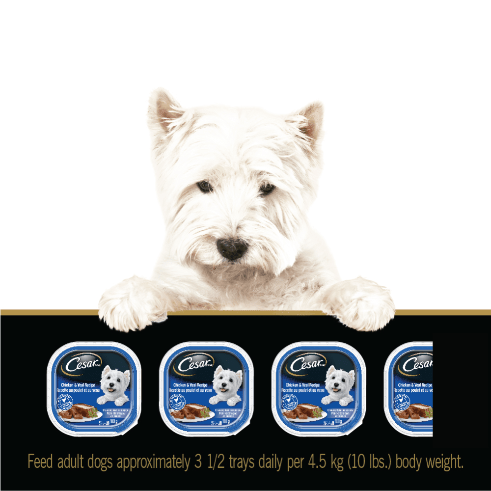 CESAR® Classic loaf in sauce Wet Dog Food, Chicken & Veal Recipe feeding guidelines image