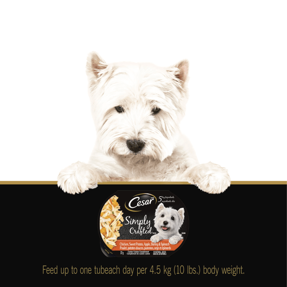 CESAR® SIMPLY CRAFTED™ Wet Dog Food, Chicken, Sweet Potato, Apple, Barley & Spinach feeding guidelines image