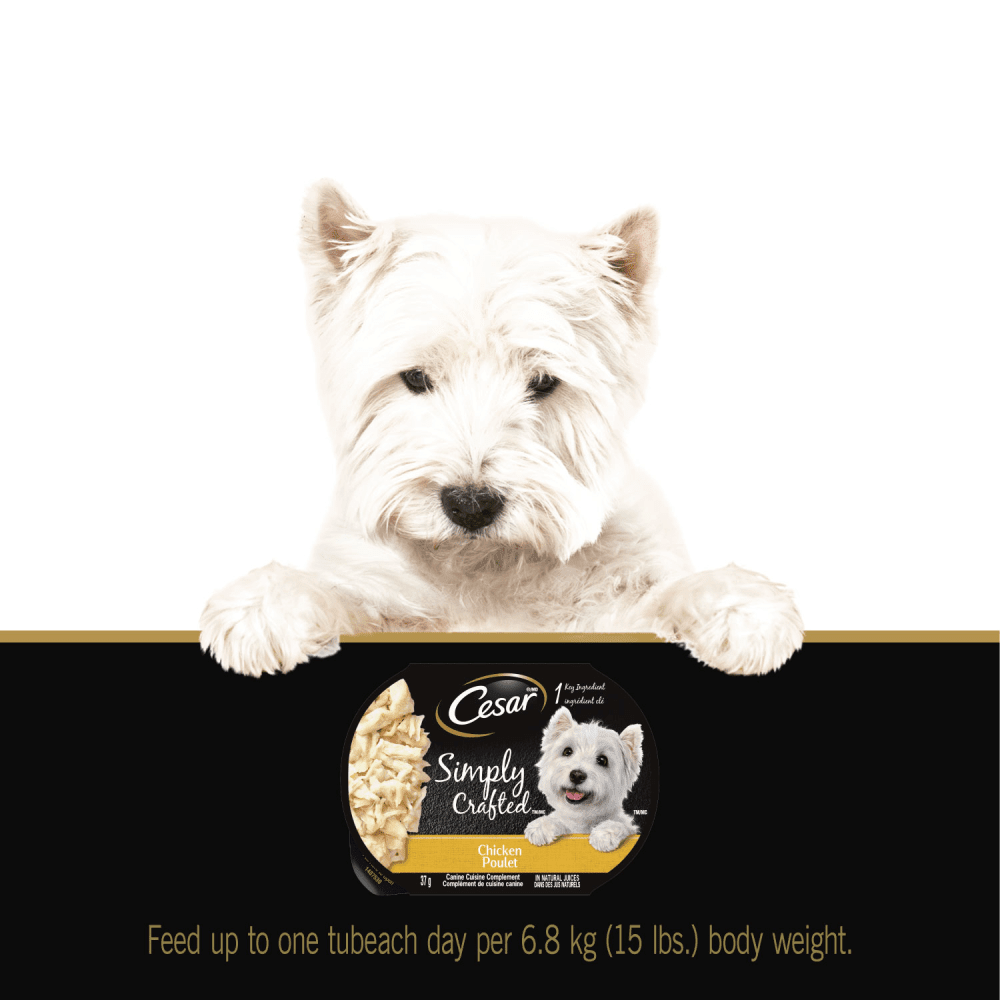 CESAR® SIMPLY CRAFTED™ Wet Dog Food, Chicken feeding guidelines image