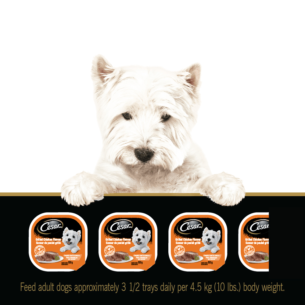CESAR® Classic loaf in sauce Wet Dog Food, Grilled Chicken Flavour feeding guidelines image