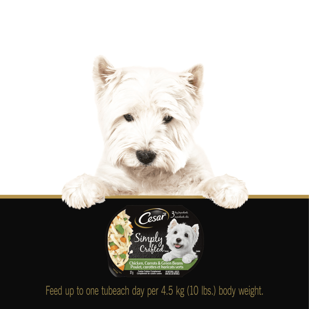 CESAR® SIMPLY CRAFTED™ Wet Dog Food, Chicken, Carrots & Green Beans feeding guidelines image