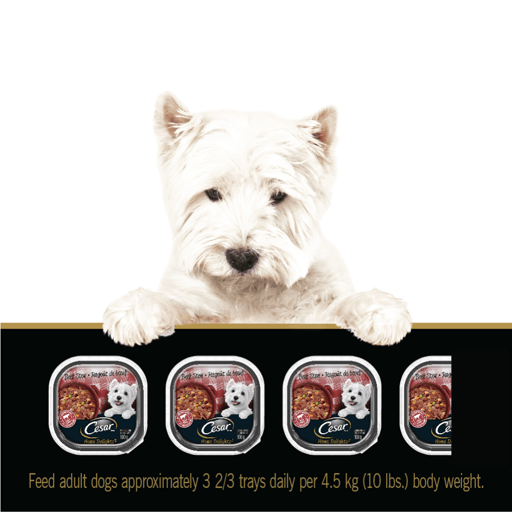 CESAR® HOME DELIGHTS™ Wet Dog Food, Beef Stew feeding guidelines image