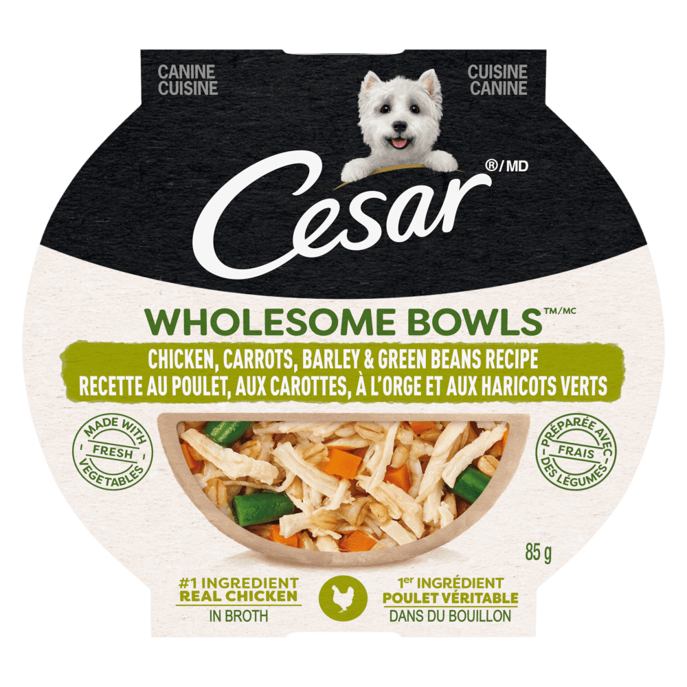 CESAR® WHOLESOME BOWLS™ Wet Dog Food, Chicken, Carrots, Barley & Green