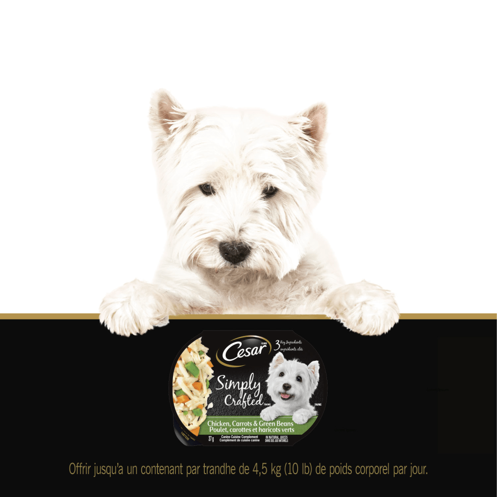 Nourriture humide pour chiens adultes CESAR(MD) SIMPLY CRAFTED(MC) poulet, carottes et haricots verts feeding guidelines image