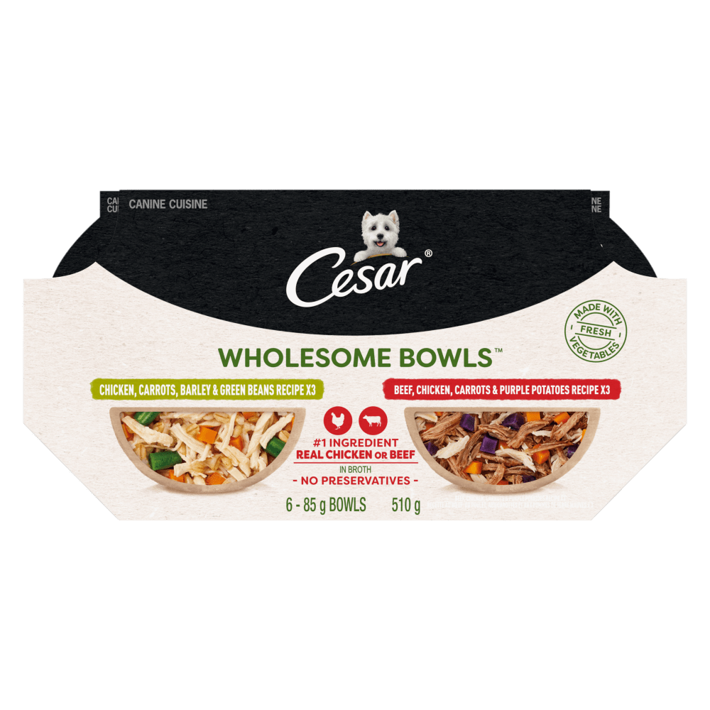 CESAR® WHOLESOME BOWLS™ Wet Dog Food, Chicken, Carrots, Barley & Green
