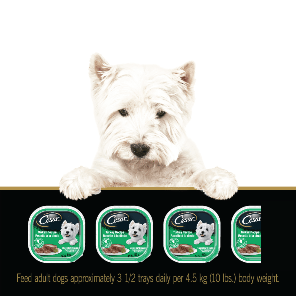CESAR® Classic loaf in sauce Wet Dog Food, Turkey Recipe feeding guidelines image