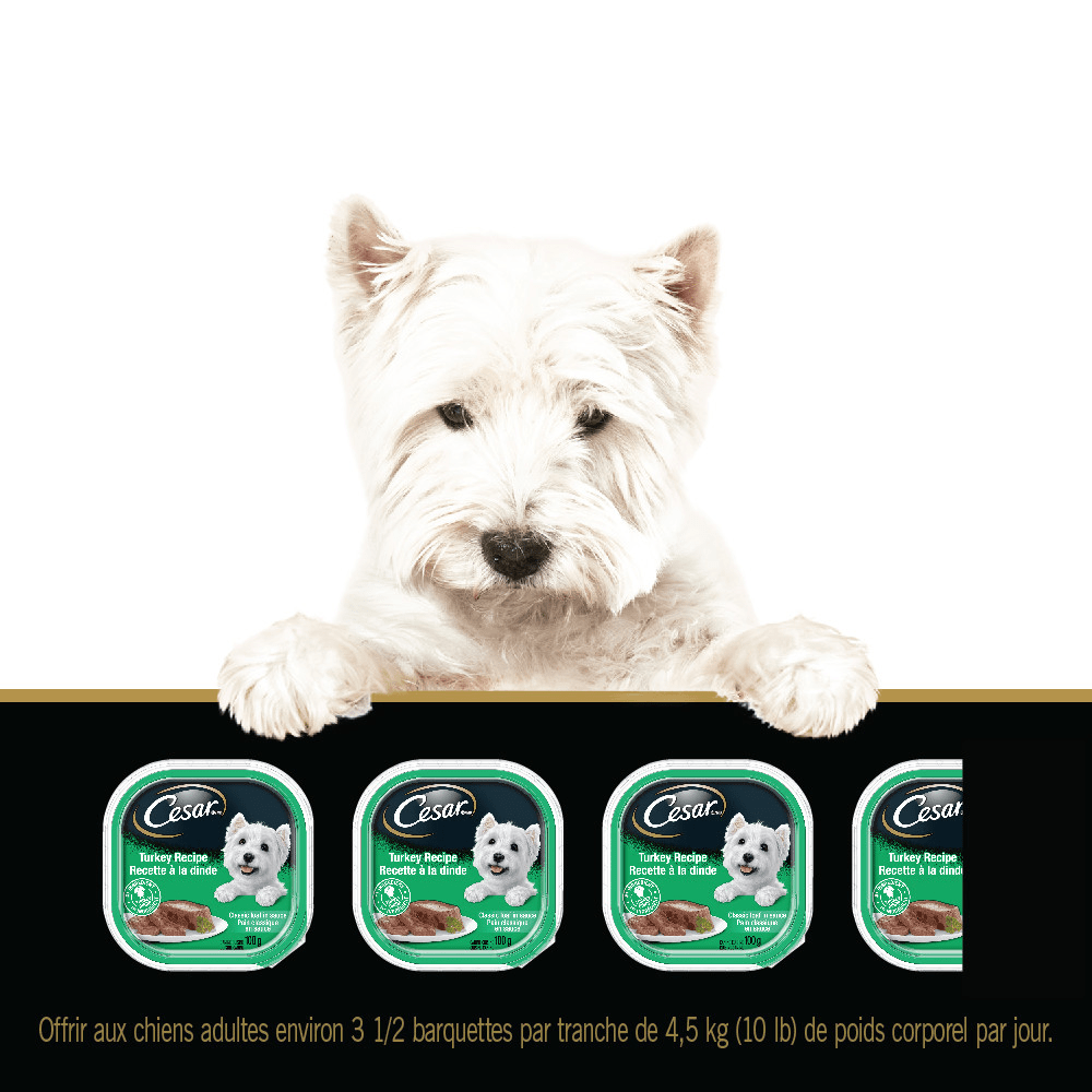 Nourriture humide pour chiens adultes CESAR(MD) pain classique en sauce saveur de haut de surlonge feeding guidelines image
