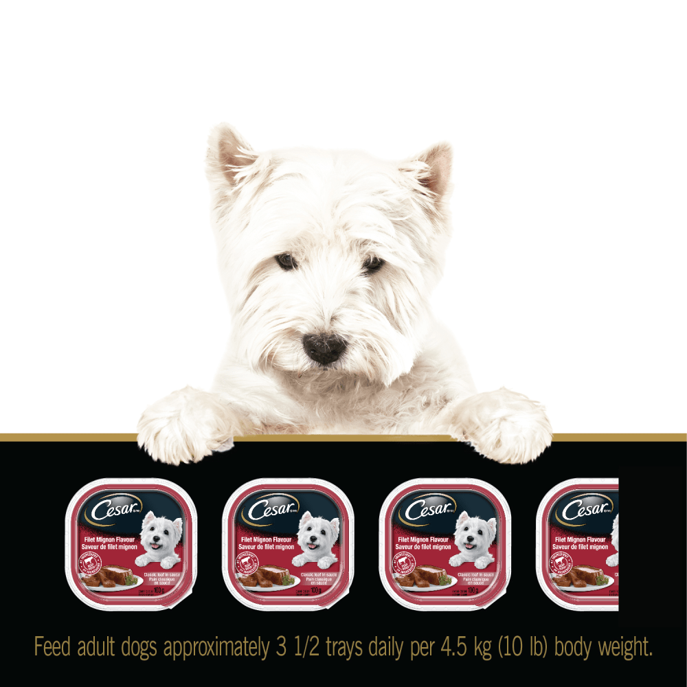 CESAR® Classic loaf in sauce Wet Dog Food, Delicacies Variety Pack, 24x100g feeding guidelines image 1