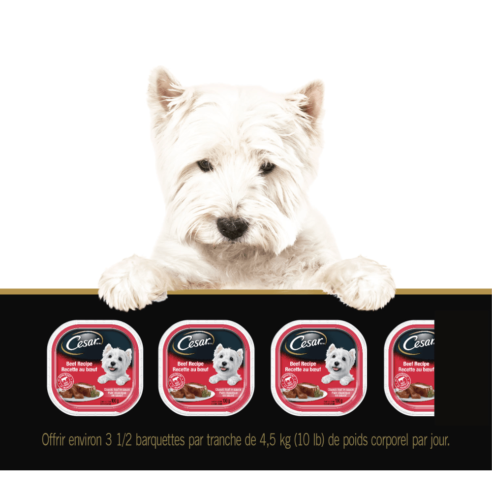 Nourriture humide pour chiens adultes CESAR(MD) pain classique en sauce en format variété – recette au bœuf et recette à la dinde feeding guidelines image 1