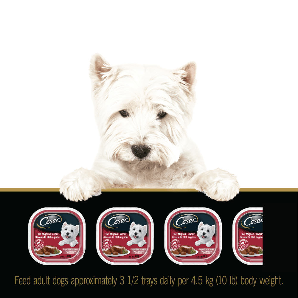CESAR® Classic loaf in sauce Wet Dog Food, Mealtime Variety Pack, 24x100g feeding guidelines image 1