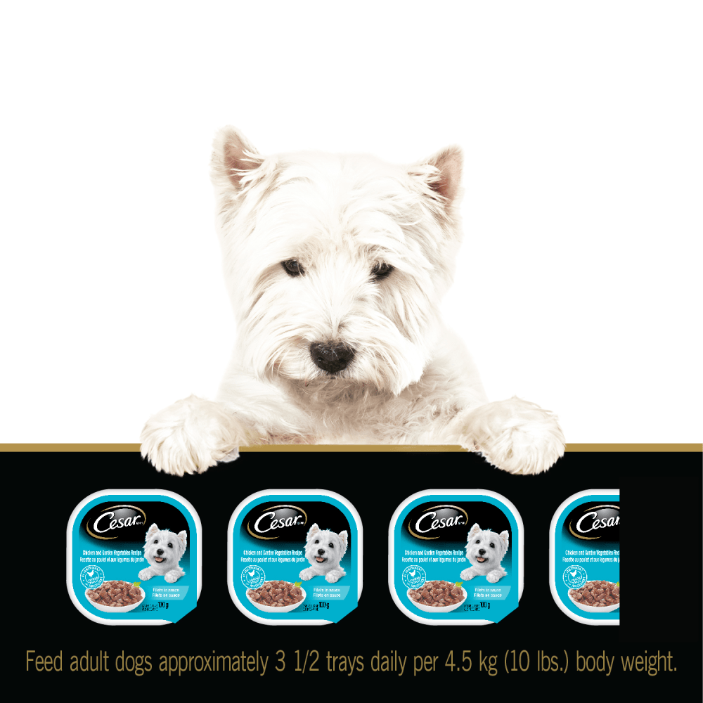 CESAR® Filets in Sauce Wet Dog Food - 6 New York Strip Flavour and 6 Chicken & Garden Vegetable feeding guidelines image